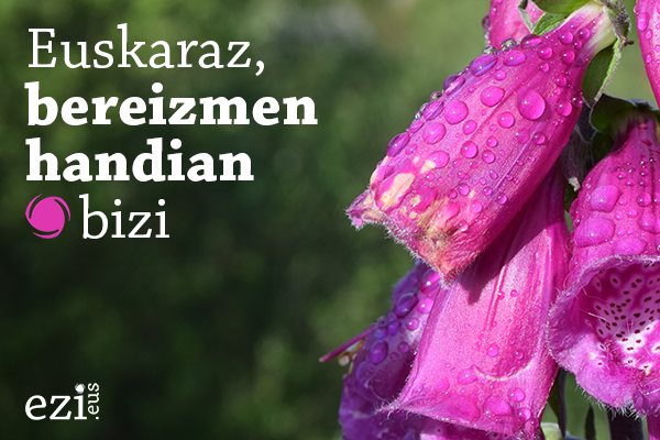 Euskararen ikusgarritasuna hobetzeko burtsa