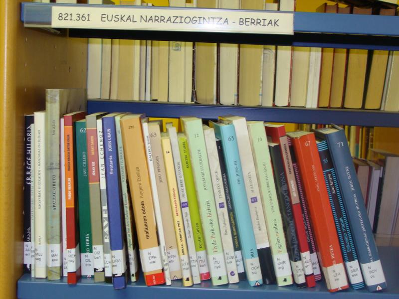 Zein euskarazko literatura nerabeentzat?