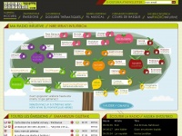 Radiokultura: irrati soila baino gehiago